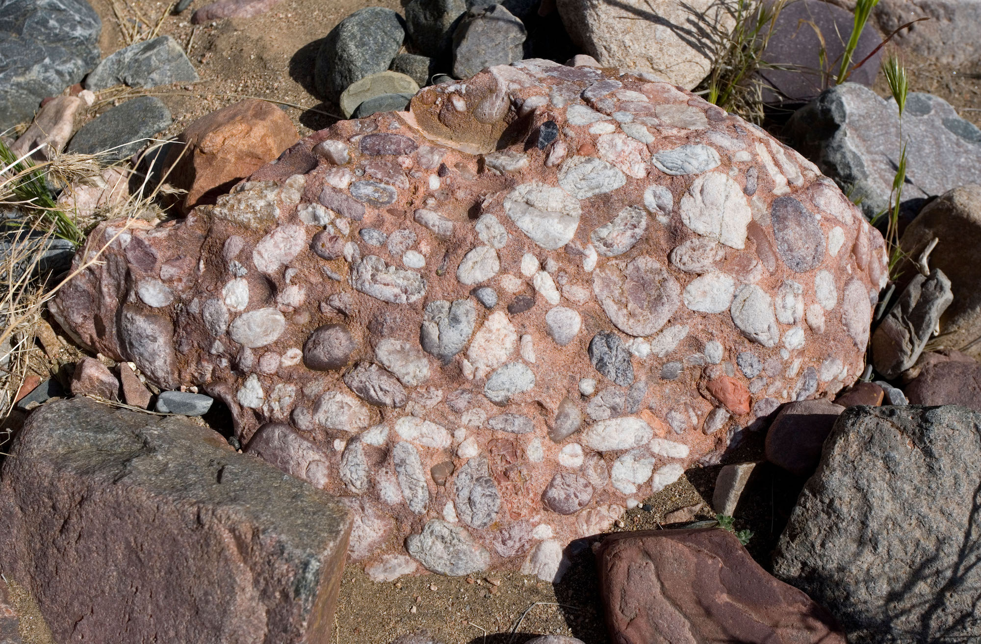 Conglomerate: Definition, Meaning, Creation, and Examples