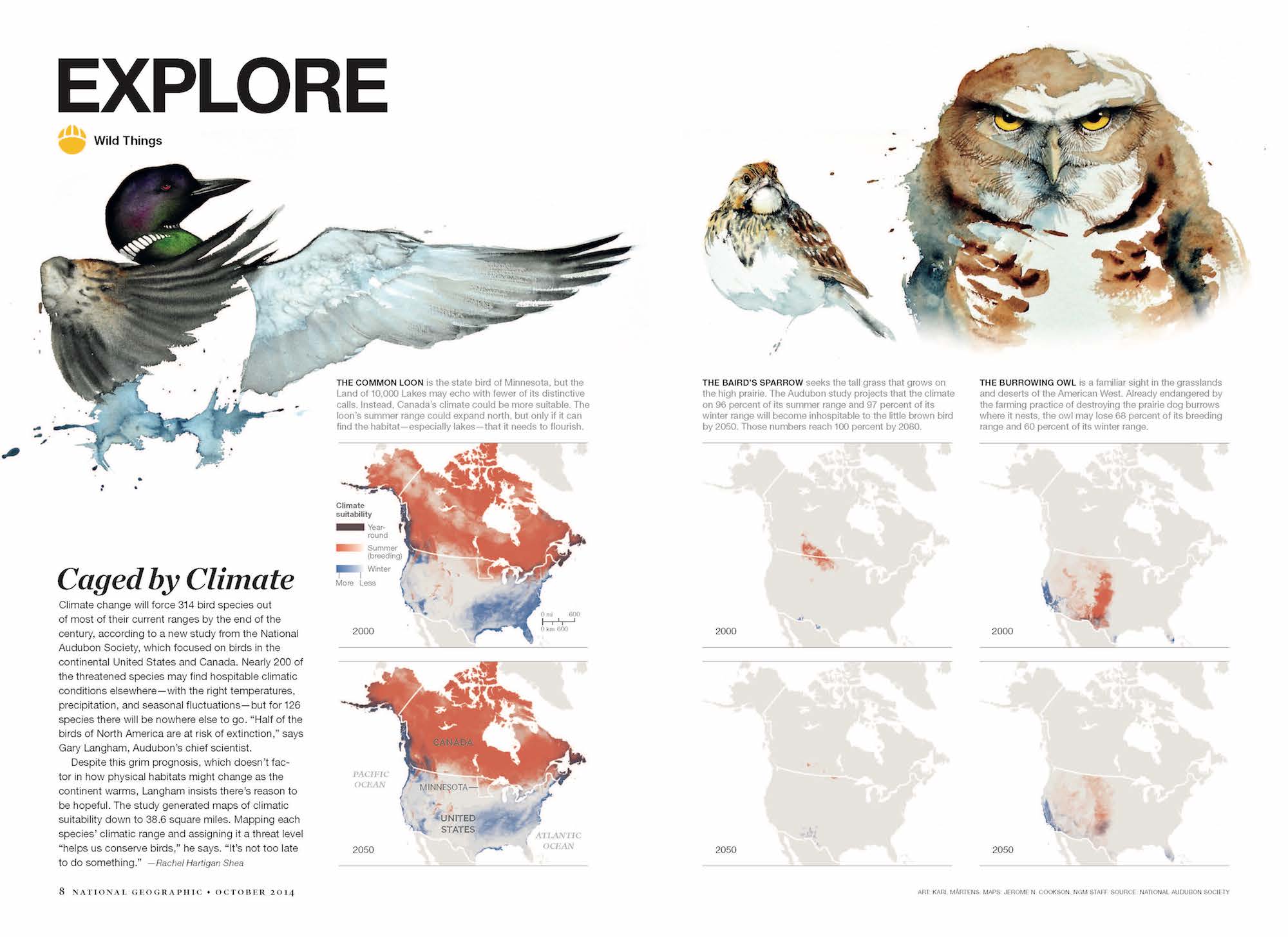 Climate change is shrinking many ian birds