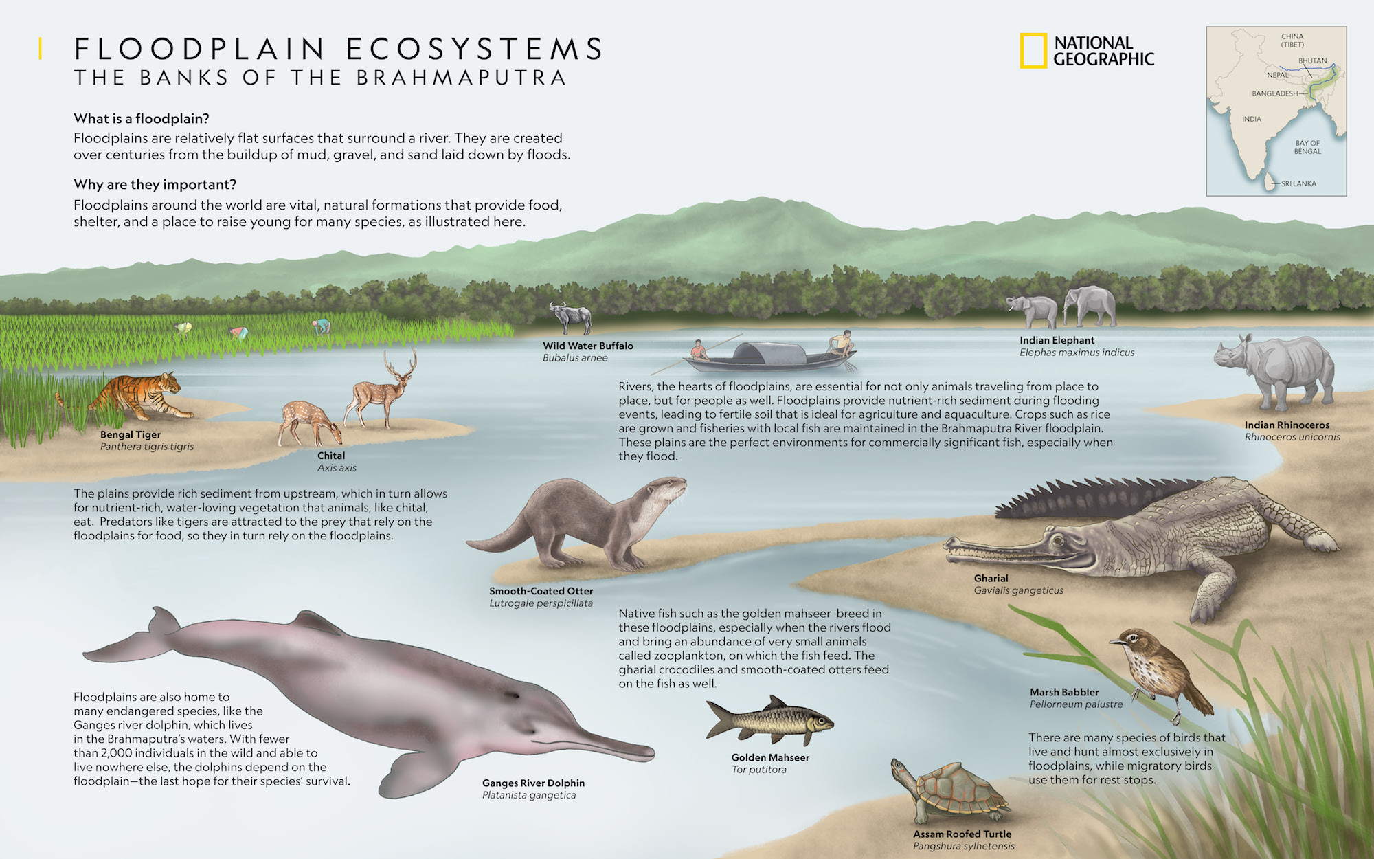 floodplains-ecosystem