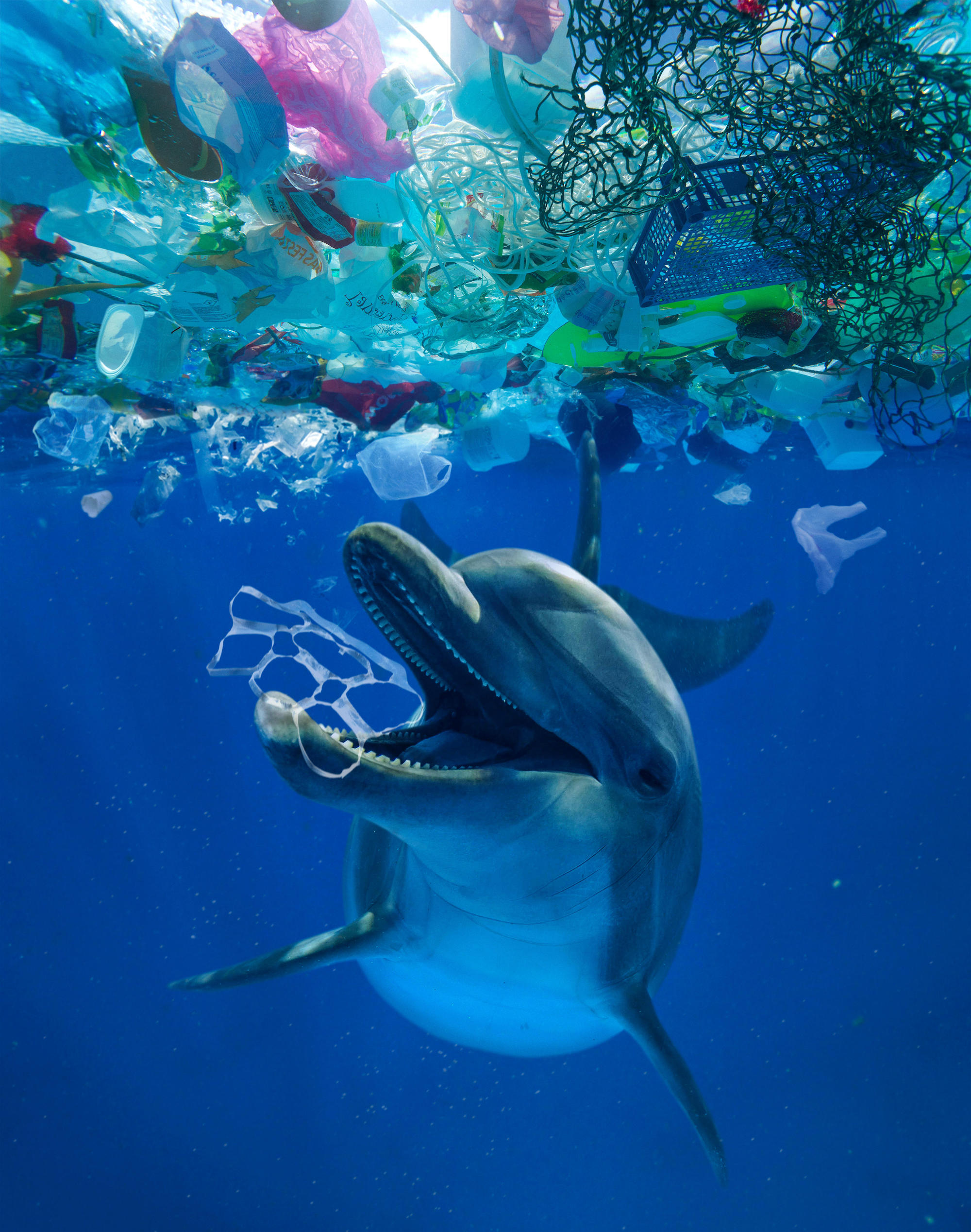 Dutch fishermen caught a record 756 metric tons of trash from the sea -  BrightVibes