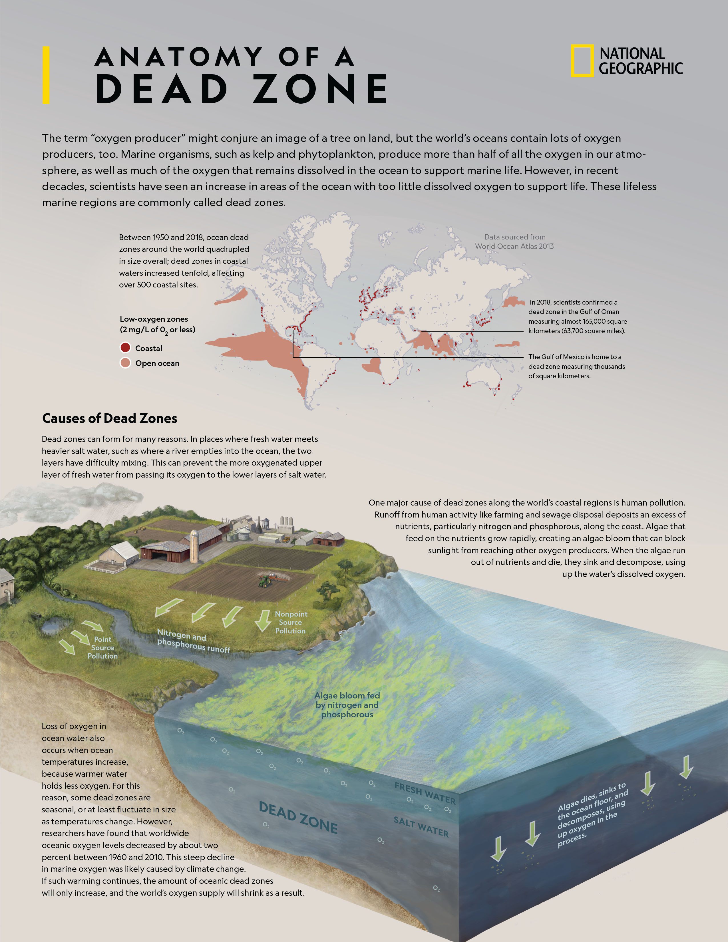 What is a dead zone?