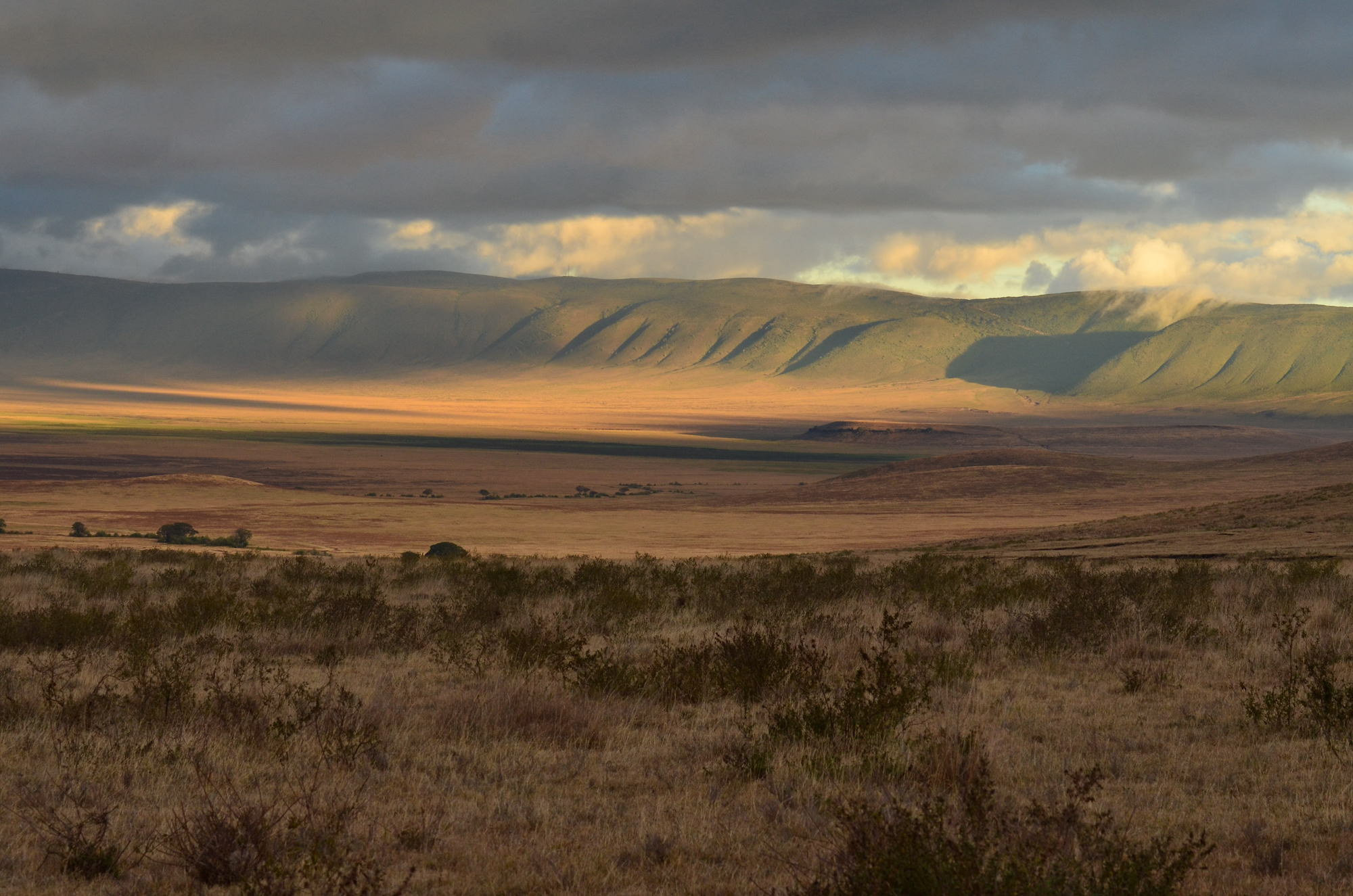 Serengeti   Ngorongoro Crater 