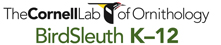 Cornell Lab of Ornithology - BirdSleuth