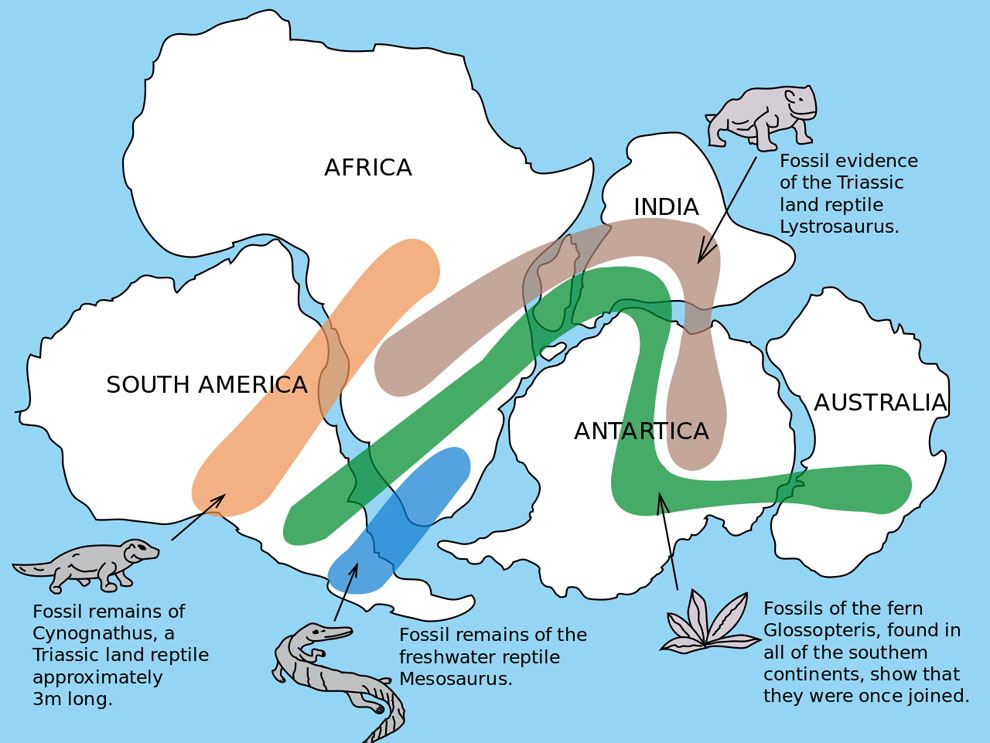 pangaea supercontinent breaks up