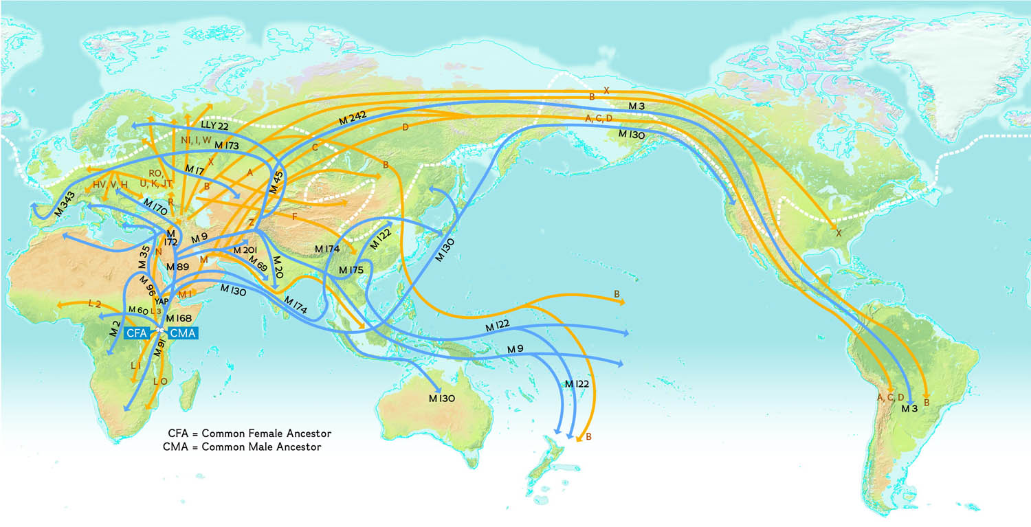 Human Migration