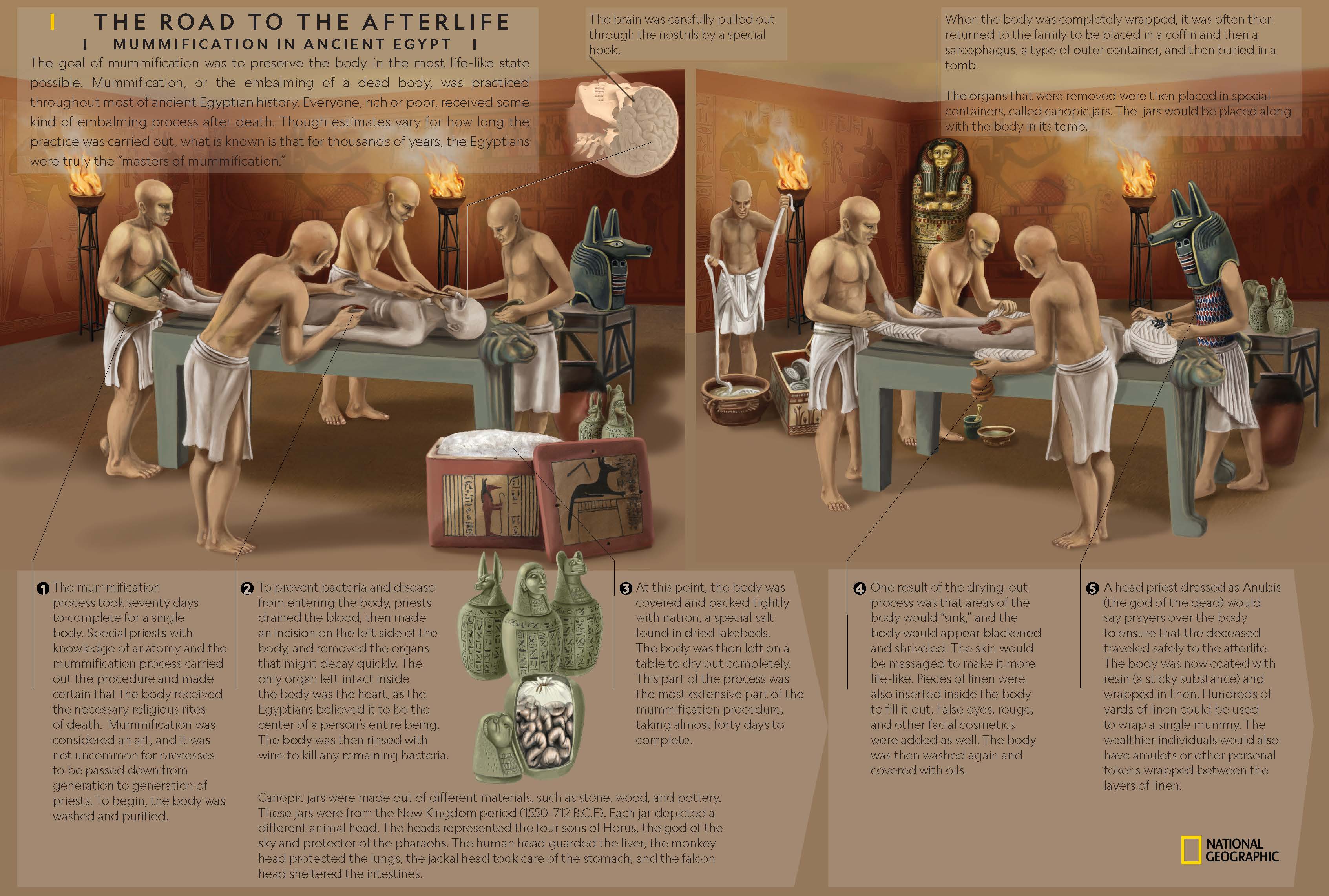 mummification process removal of brain