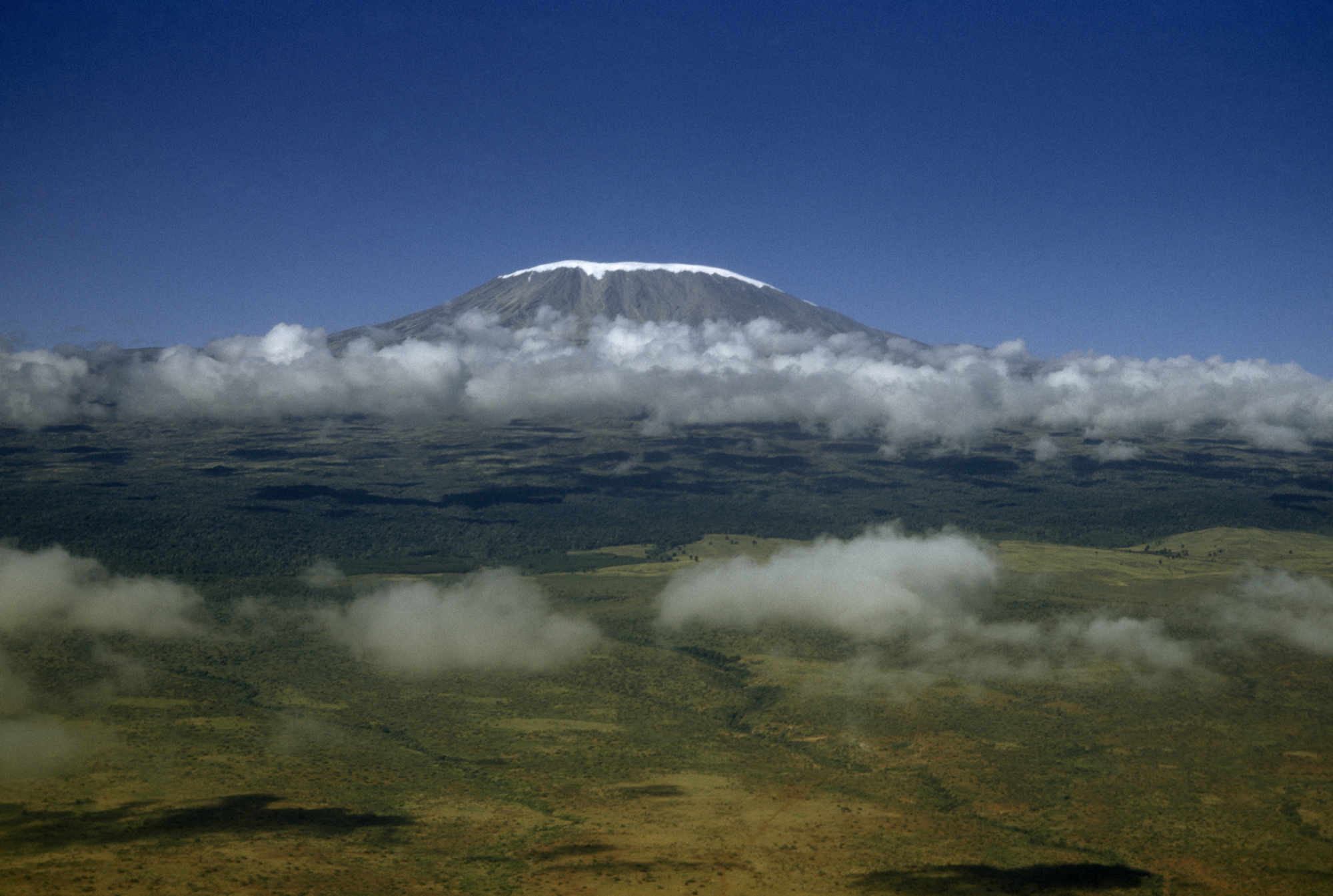 Kilimanjaro   Mount Kilimanjaro 