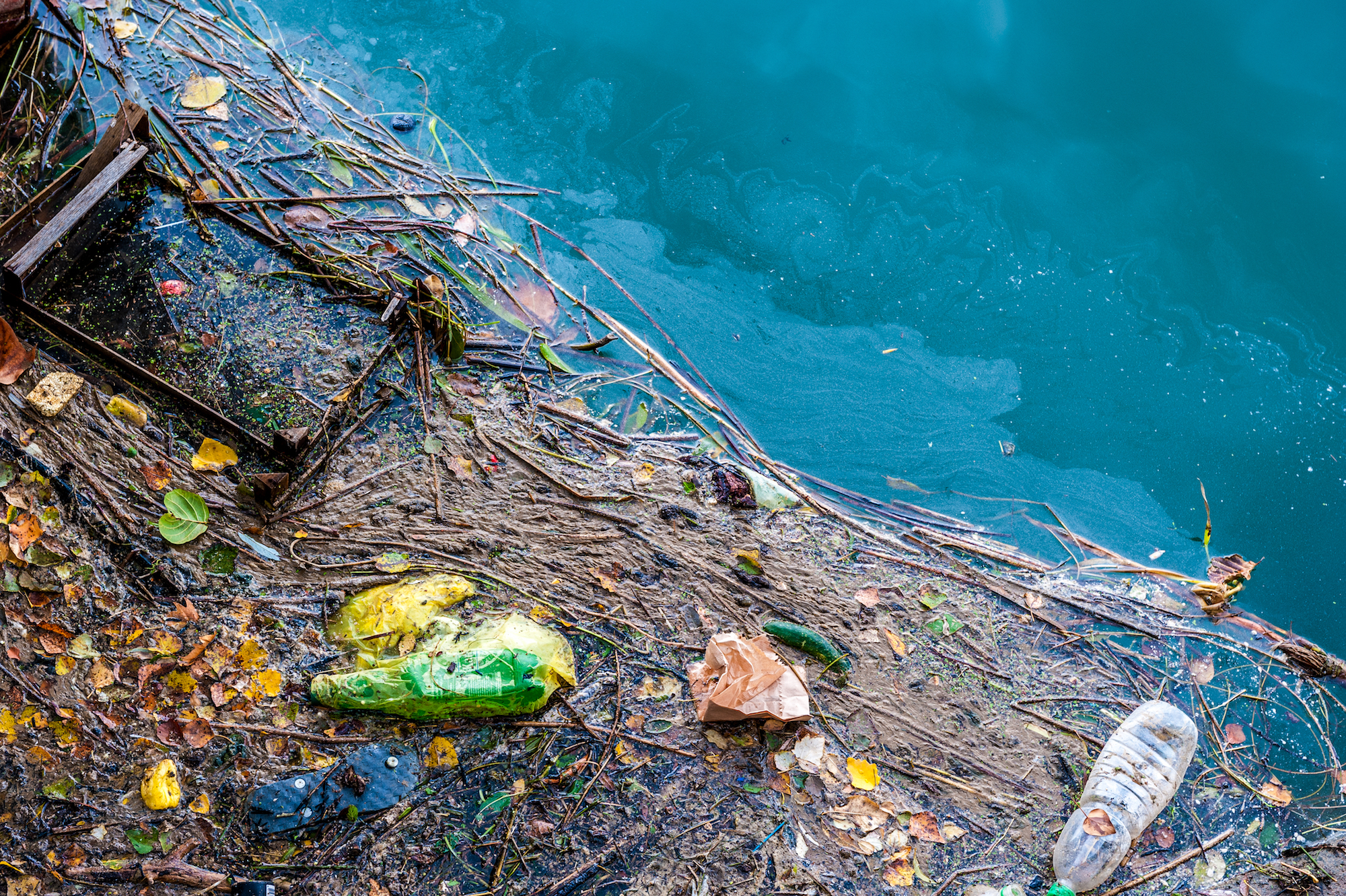 land animals with polluted water