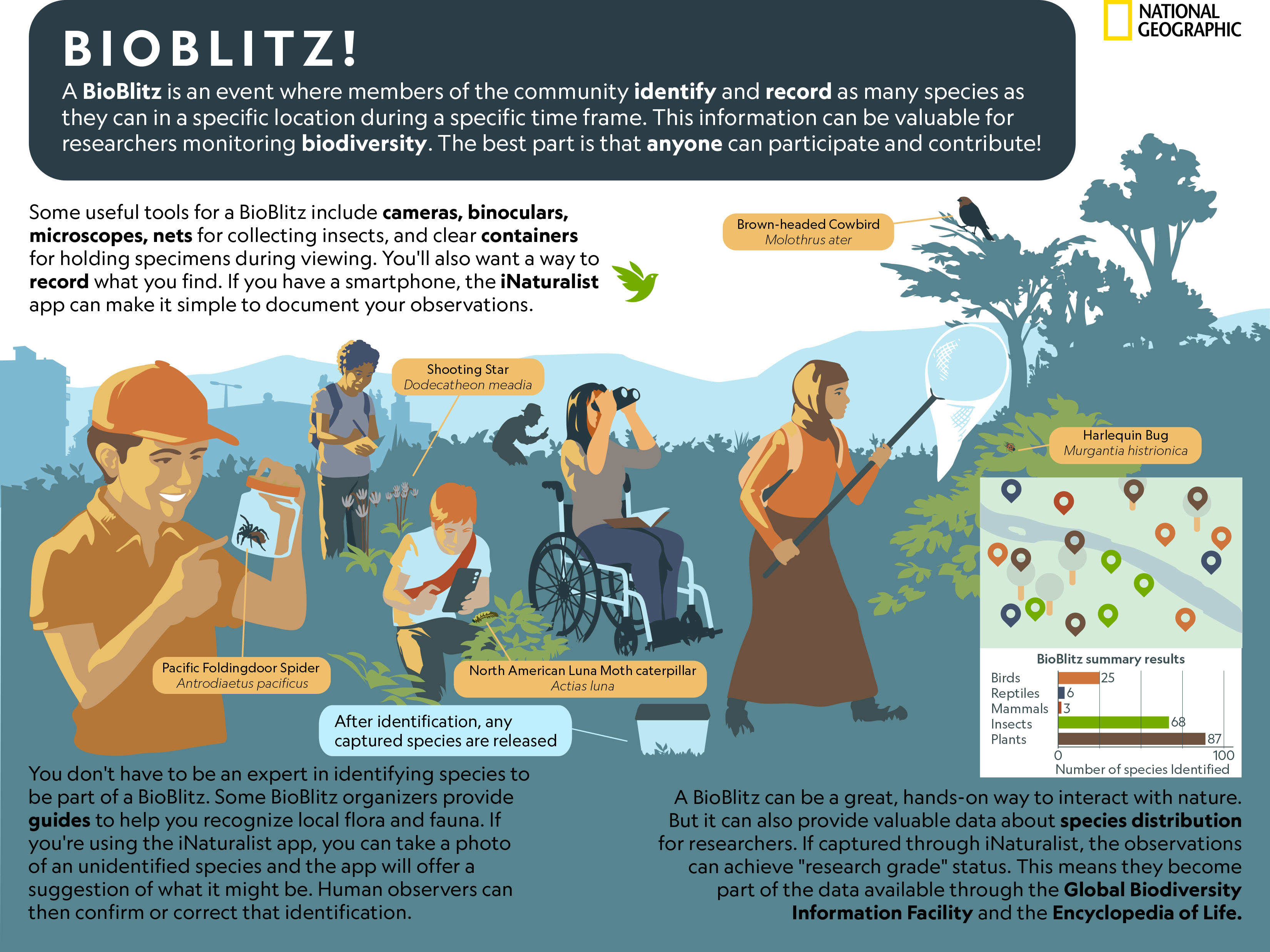 Picture of BioBlitz