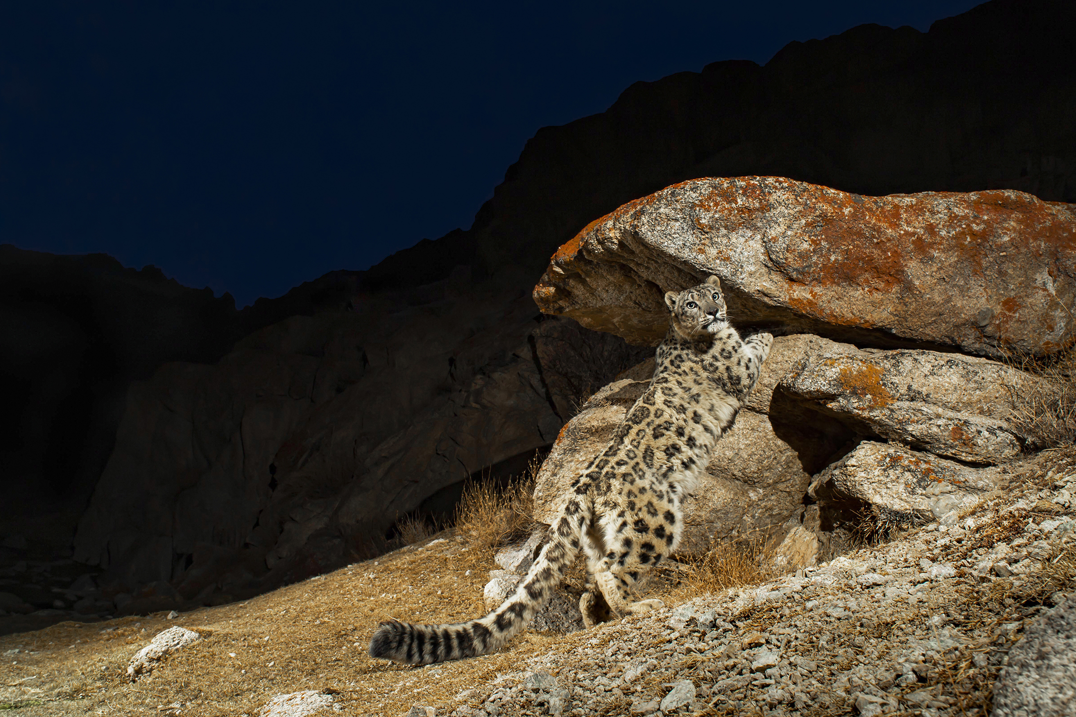 National Geographic Live
